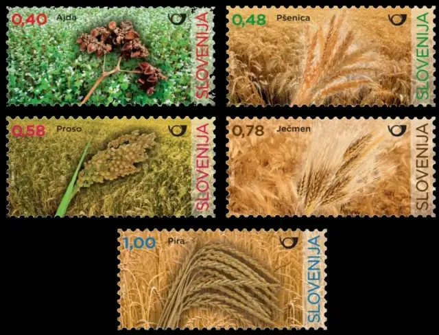 Slovenia year 2017 stamps Flora - Grain from Slovenia MNH
