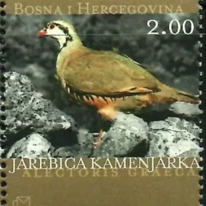 Bosnia year 2003 Fauna – Birds Greek Partridge stamp