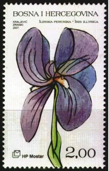 Bosnia 2007 Flowers – Flower Perunika, Iris postage stamps