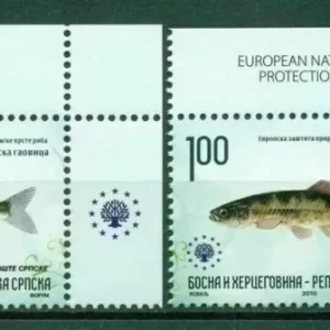 Bosnia 2010 stamps Fauna European Nature Protection - Fishes MNH full set