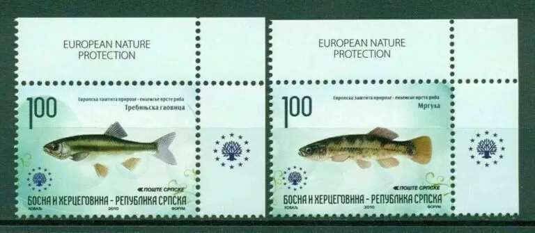 Bosnia 2010 stamps Fauna European Nature Protection - Fishes MNH full set