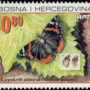 Bosnia Herzegovina Mostar year 2002 Butterflies Vanessa Atalanta