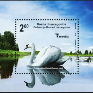 Bosnia Herzegovina year 2010 Swan Bird