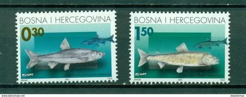 Bosnia – Mostar 2001 stamps Fauna – Edible fishes of the rivers