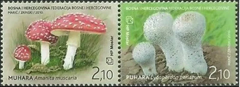 Bosnia 2010 stamps Mushrooms