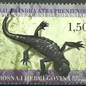 Bosnia year 2004 Black Salamander MNH stamp