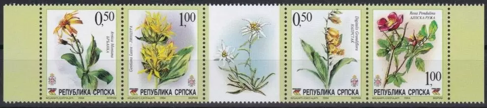 Bosnia year 2004 stamps Flora – Mountain Flowers full set MNH**