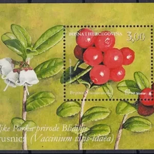 Bosnia year 2007 Flora – Fruits' Cranberry stamp