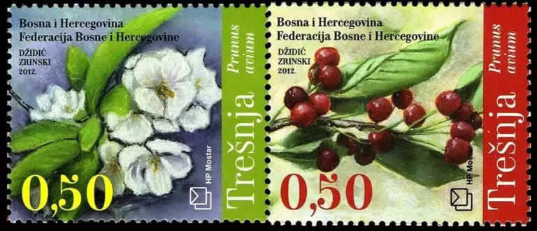 Bosnia year 2012 stamps set Cherry Flower and Cherry MNH**