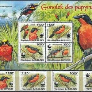 Burundi year 2011 stamps WWF - Birds - The Papurys Gonolek ☀ MNH**