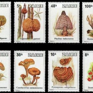 Kongo / Zaire year 1979 - Nature / Mushrooms full set MNH **