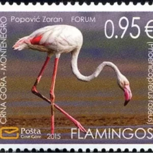 Montenegro 2015 Fauna – Birds – Flamingo, Salina Ulcinj MNH