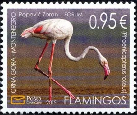 Montenegro 2015 Fauna – Birds – Flamingo, Salina Ulcinj MNH