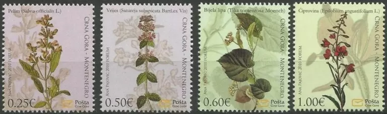 Montenegro year 2010 stamps Flowers - Native Plants - full set MNH