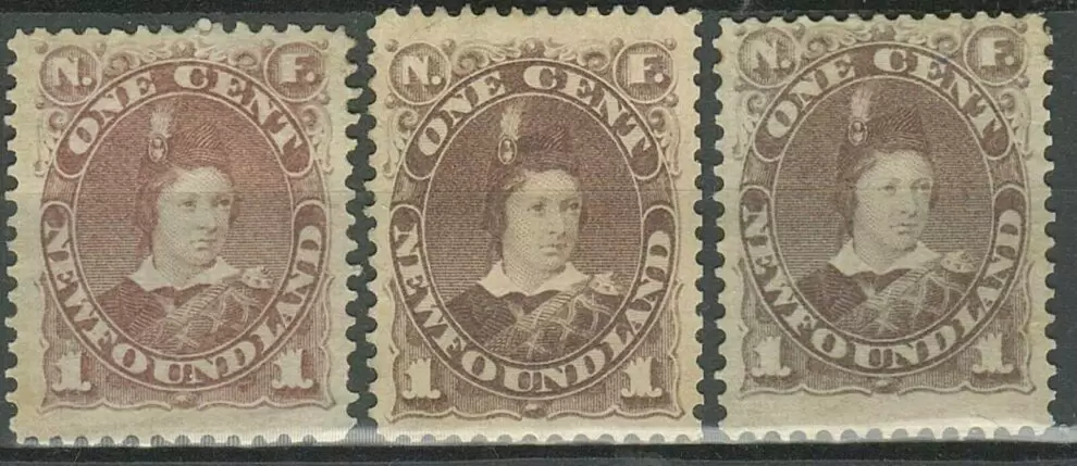 Newfoundland year 1880/96 stamps 1c. Brown and red brown