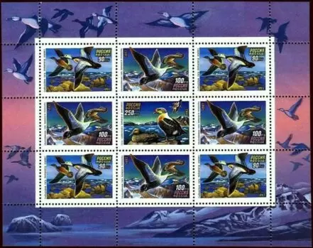 Russia year 1993 stamps Fauna Birds ducks