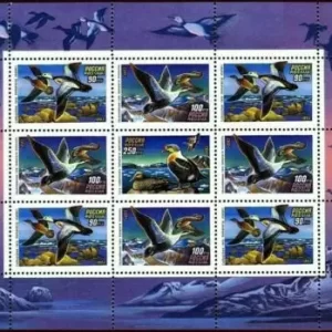 Russia year 1993 stamps Fauna Birds ducks