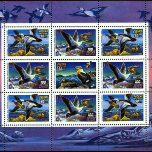 Russia year 1993 stamps Fauna Birds ducks MNH**