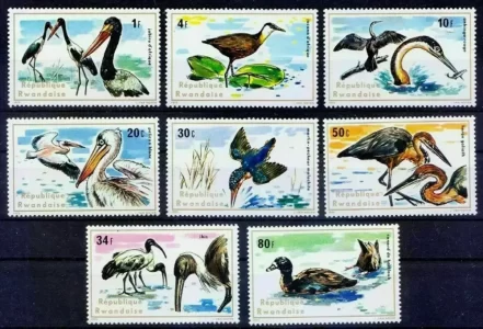 Rwanda year 1975 stamps - Water Birds / Pelicans