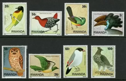 Rwanda year 1980 Birds - Nyungwe Forest