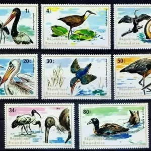 Rwanda year 1975 stamps - Water Birds / Pelicans