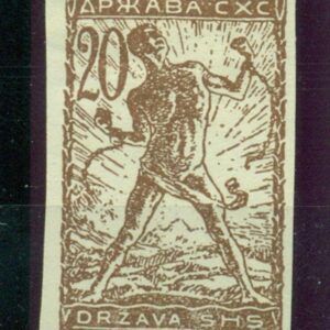 SHS - Slovenia stamp year 1919 20v on E paper certificate