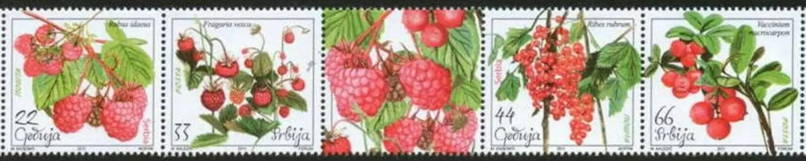 Serbia year 2011 stamps Flora Red Fruits MNH