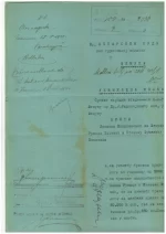 SHS – Slovenia – Chainbreakers 1919 Court document with Chainbreakers stamps