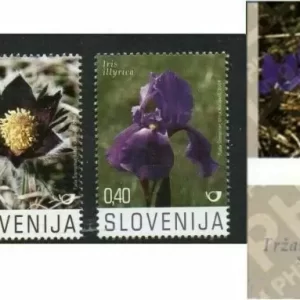 Slovenia 2008 Flora - Flowers Complete set + MSS