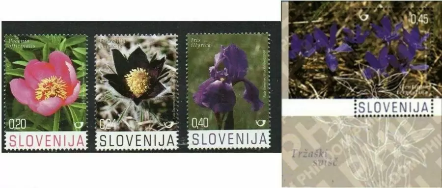 Slovenia 2008 Flora - Flowers Complete set + MSS