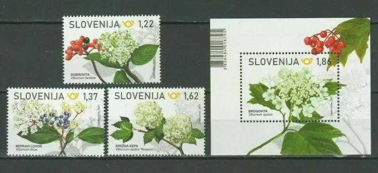 Slovenia 2021 Flora Wayfaring Tree - Complete set