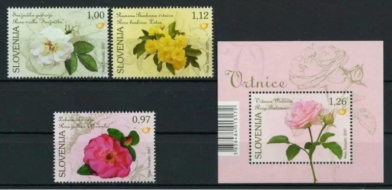 Slovenia year 2017 Flora Roses stamps Complete set