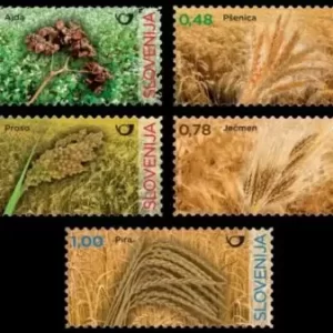 Slovenia year 2017 stamps / Flora - Grain from Slovenia MNH (**)