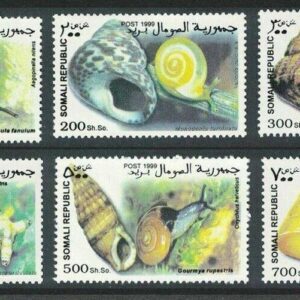 Somalia year 1999 stamps - Fauna / Snails ☀ MNH (**) set