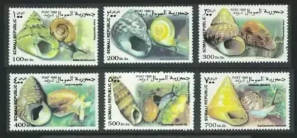Somalia year 1999 stamps - Fauna / Snails