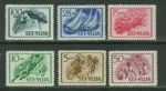 Trieste B – STT Vujna year 1951 stamps Sport complete set