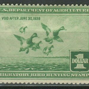 USA year 1937 Duck stamp $1 ☀ Light green #RW4 ☀ MH
