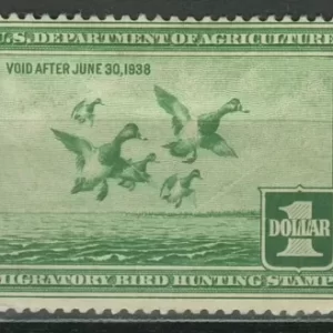 USA year 1937 Duck stamp $1 Light green