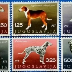 Yugoslavia stamps year 1970 Fauna dogs complete set