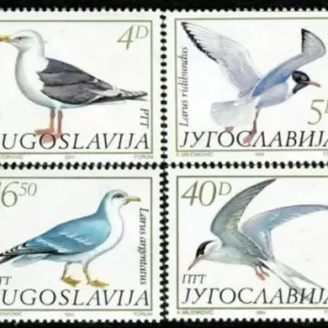 Yugoslavia year 1984 Fauna Birds - full set