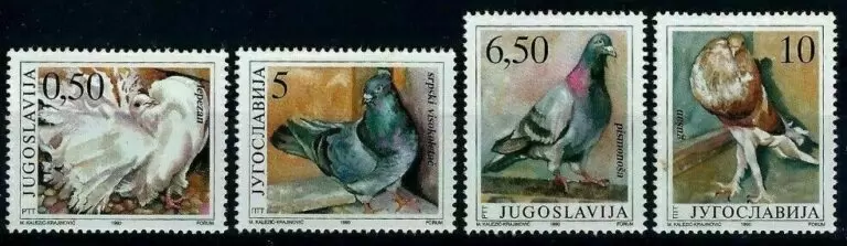 Yugoslavia year 1990 stamps - Fauna Animals Birds - Pigeons full set