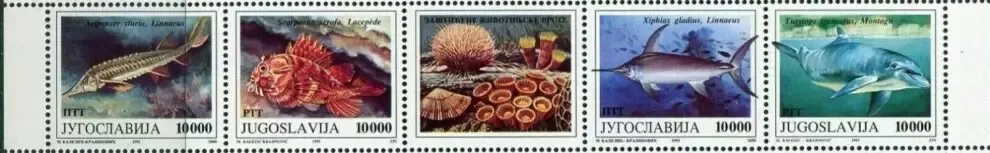 Yugoslavia 1993 stamps Fauna Fish