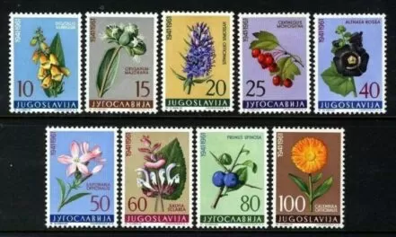 Yugoslavia year 1961 stamps / Medicinal Plants Flowers - full set MNH (**)