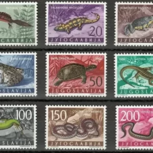 Yugoslavia year 1962 Fauna – Amphibians and Reptiles stamps