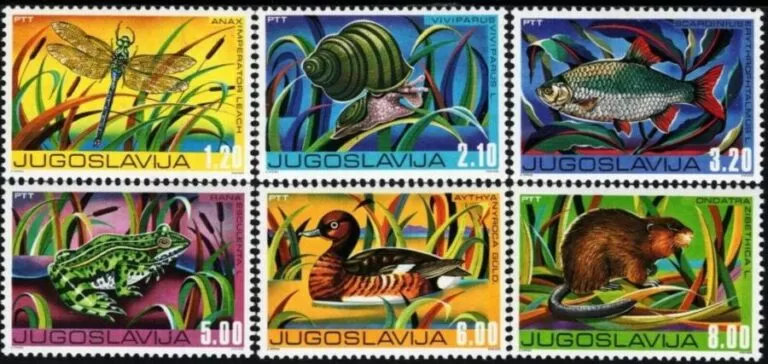 Yugoslavia year 1976 Fauna stamps – animals in wetlands