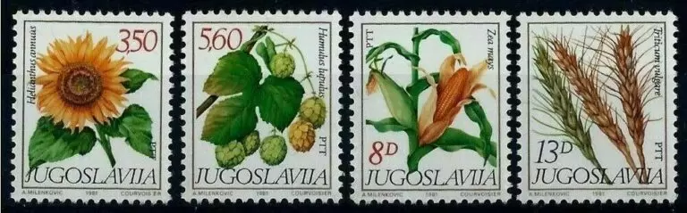 Yugoslavia year 1981 Flora - Sunflower Corn - Wheat full set ☀ MNH**