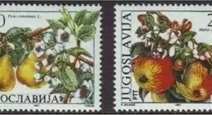 Yugoslavia year 1987 stamps – Flora Fruits