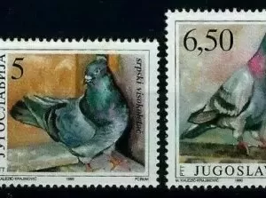 Yugoslavia year 1990 stamps - Fauna Animals Birds - Pigeons full set