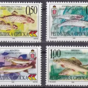 Bosnia year 1999 stamps - Fauna - Edible river fishes MNH**