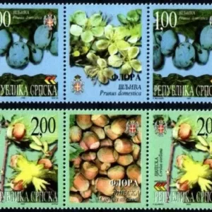 Bosnia 2000 Flora – Plum and Hazel middle row MNH stamps